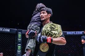 定档12月4日！“玩具斗蛐蛐”桌面对战游戏《咔砰！玩具乱斗屋》公开Steam预告片